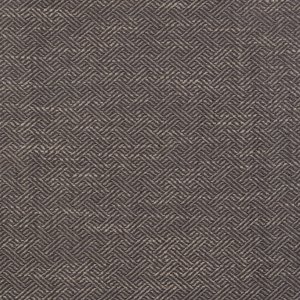 Enea Fabric by Gaston y Daniela in Gris