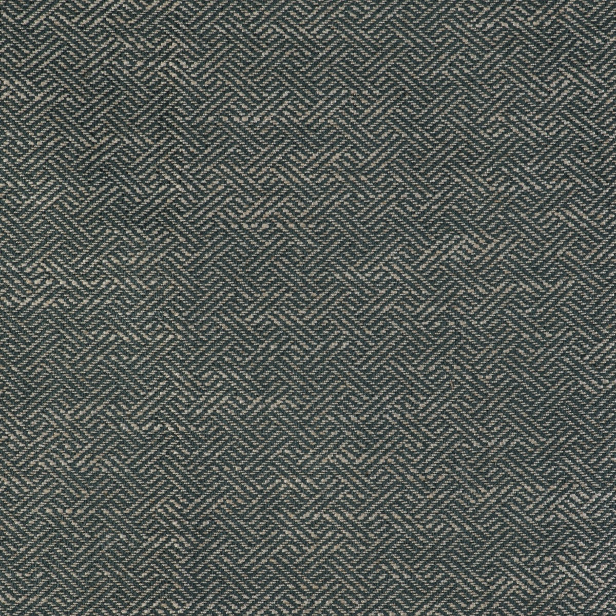 Enea Fabric by Gaston y Daniela in Oceano