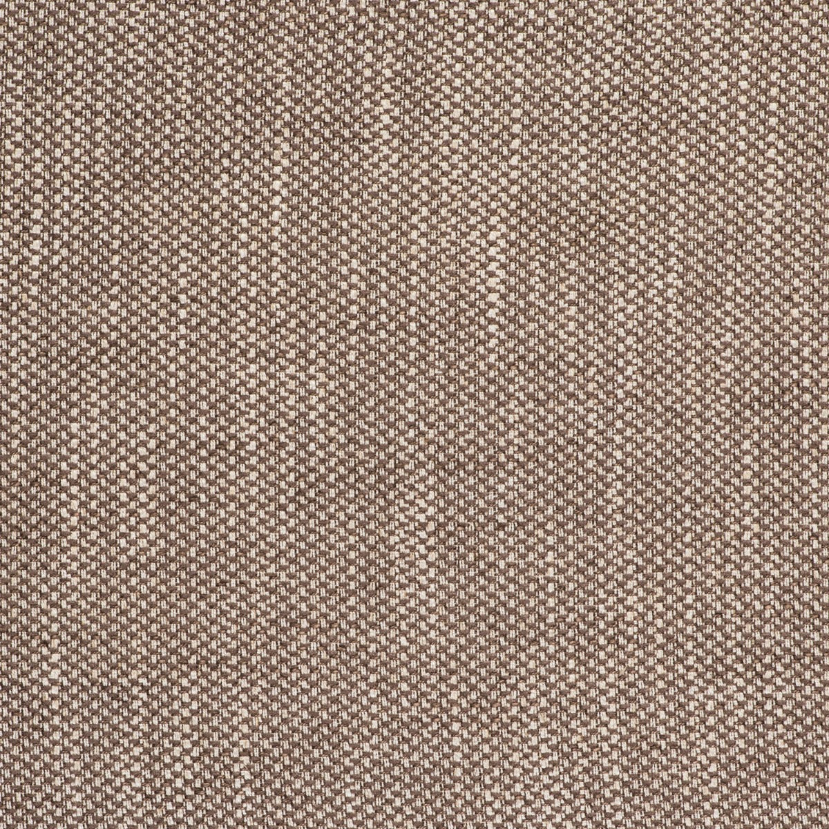 Acacia Fabric by Gaston y Daniela in Tostado