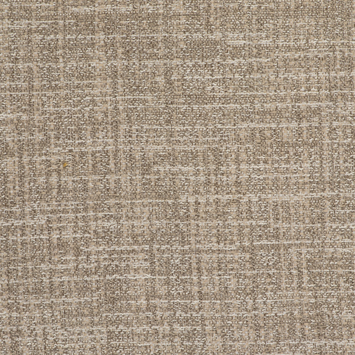 Olmo Fabric by Gaston y Daniela in Lino