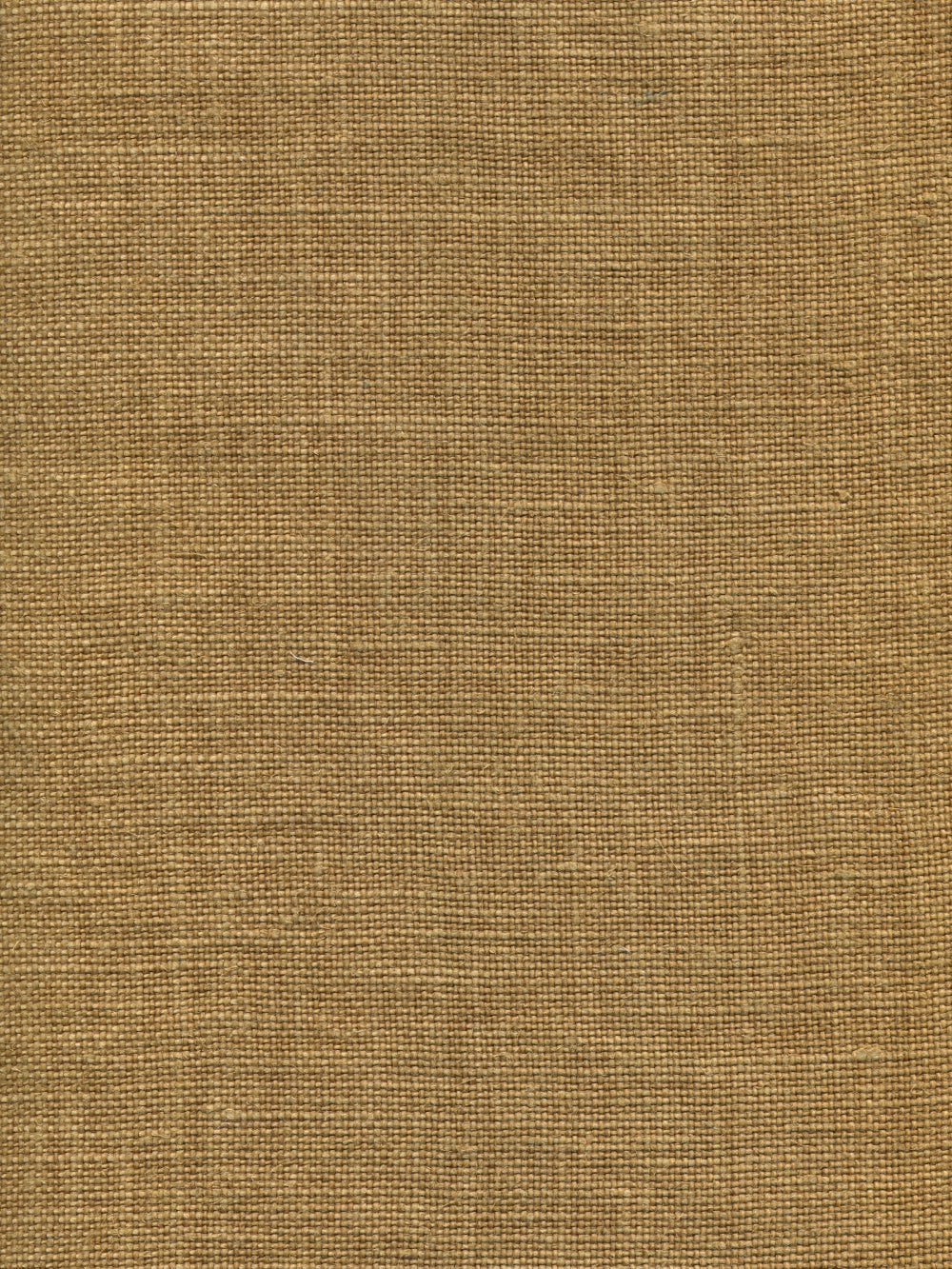 Ghent Gold fabric by Quadrille