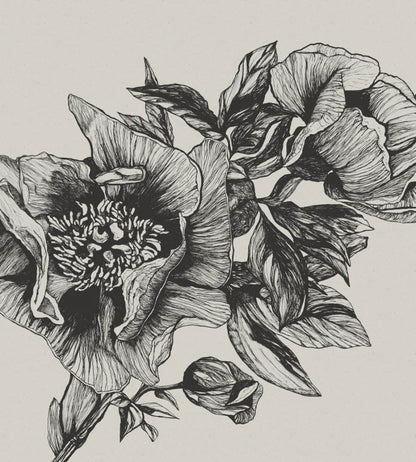 Giant Peonies Mural by Coordonne Ink