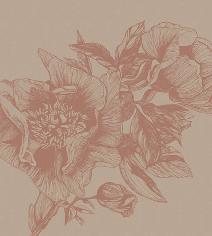 Giant Peonies Mural by Coordonne Nude