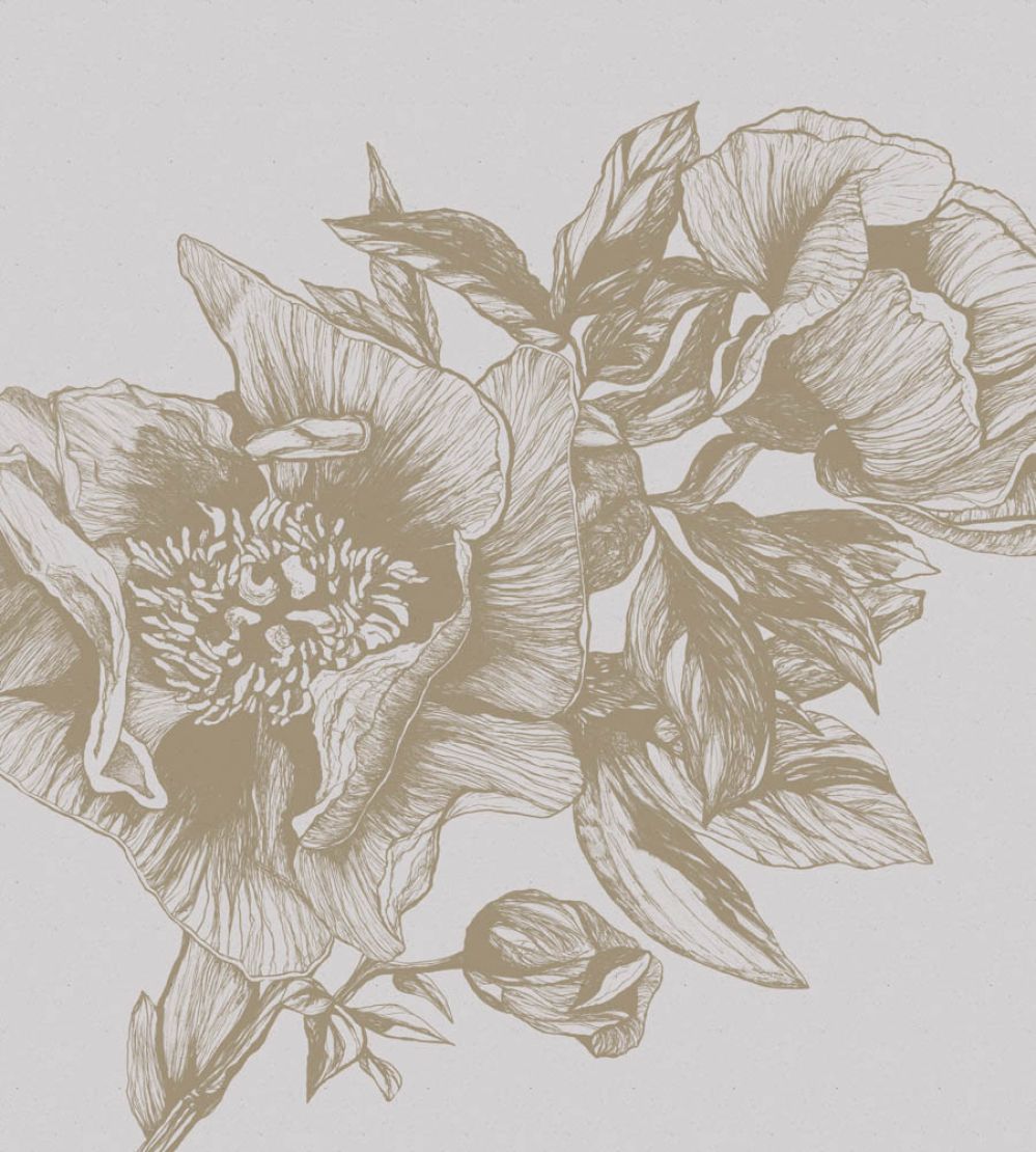 Giant Peonies Mural by Coordonne Papirus