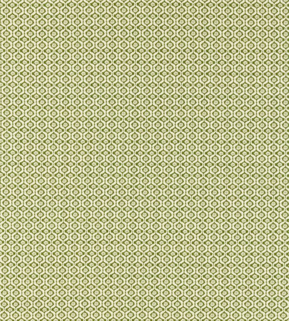 Giverny Fabric by Clarke & Clarke Sage