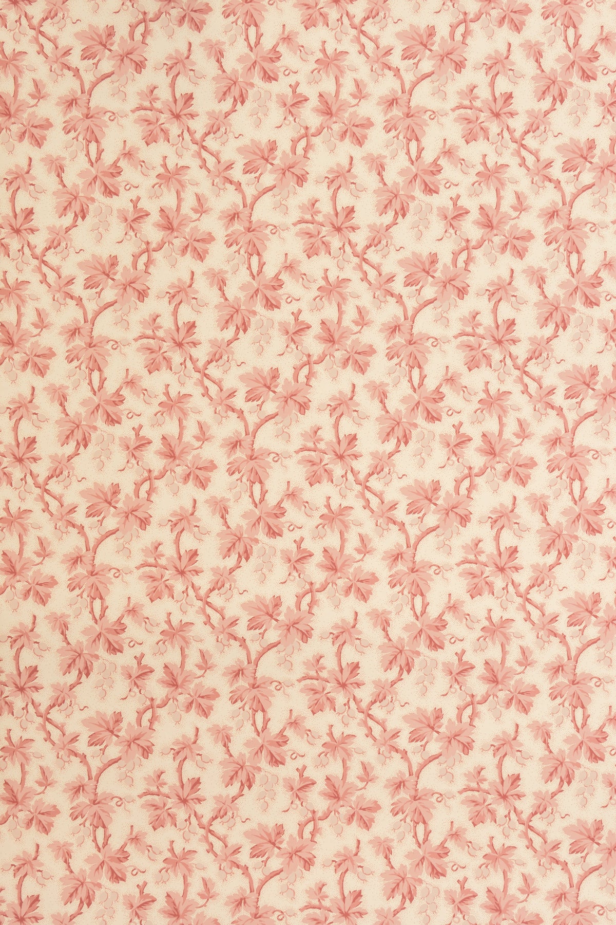 Gooseberry Wallpaper by Jean Monro in Blossom