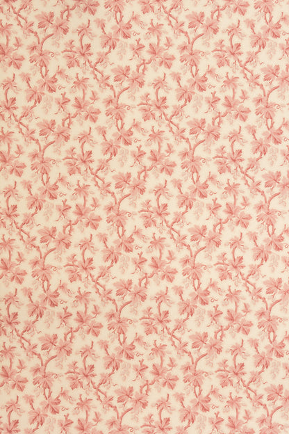 Gooseberry Wallpaper by Jean Monro in Blossom