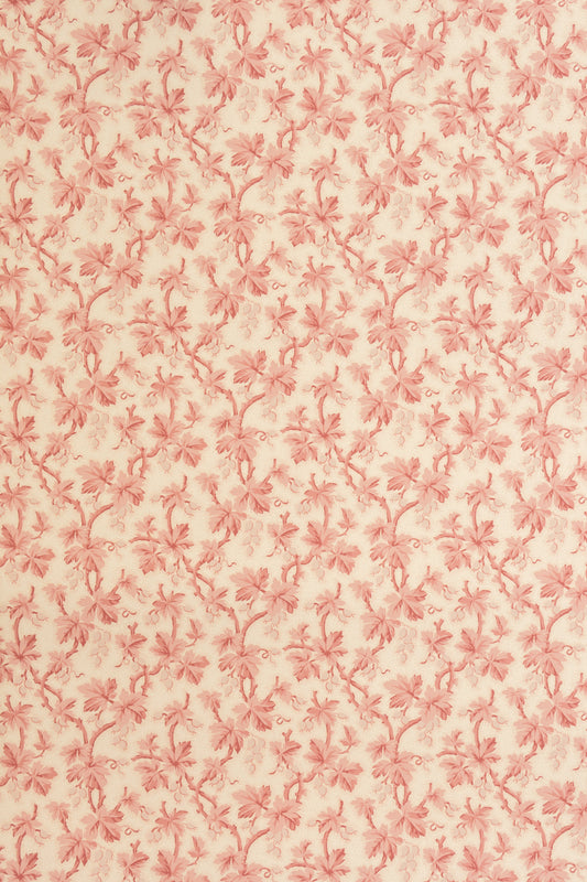 Gooseberry Wallpaper by Jean Monro in Blossom