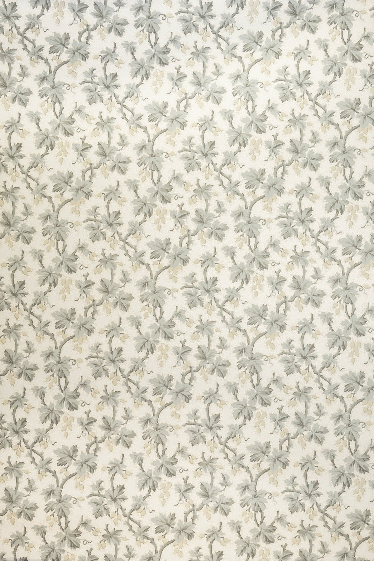 Gooseberry Wallpaper by Jean Monro in Dove