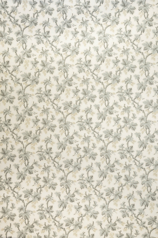 Gooseberry Wallpaper by Jean Monro in Dove