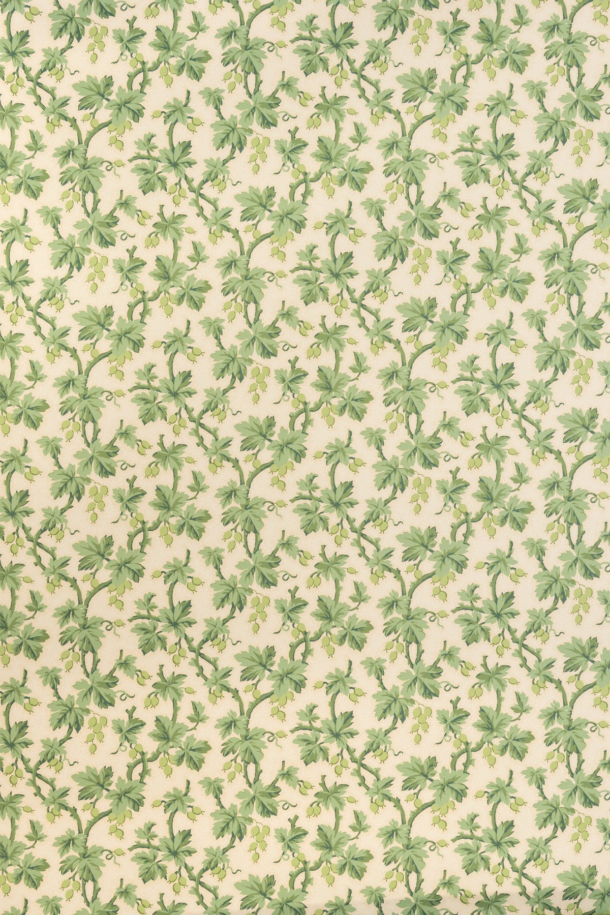 Gooseberry Wallpaper by Jean Monro in Lettuce