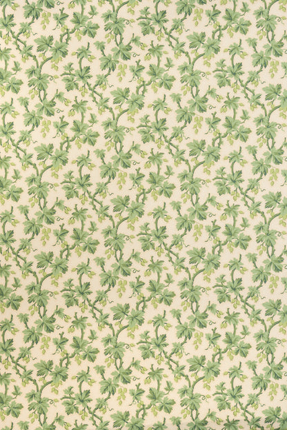 Gooseberry Wallpaper by Jean Monro in Lettuce