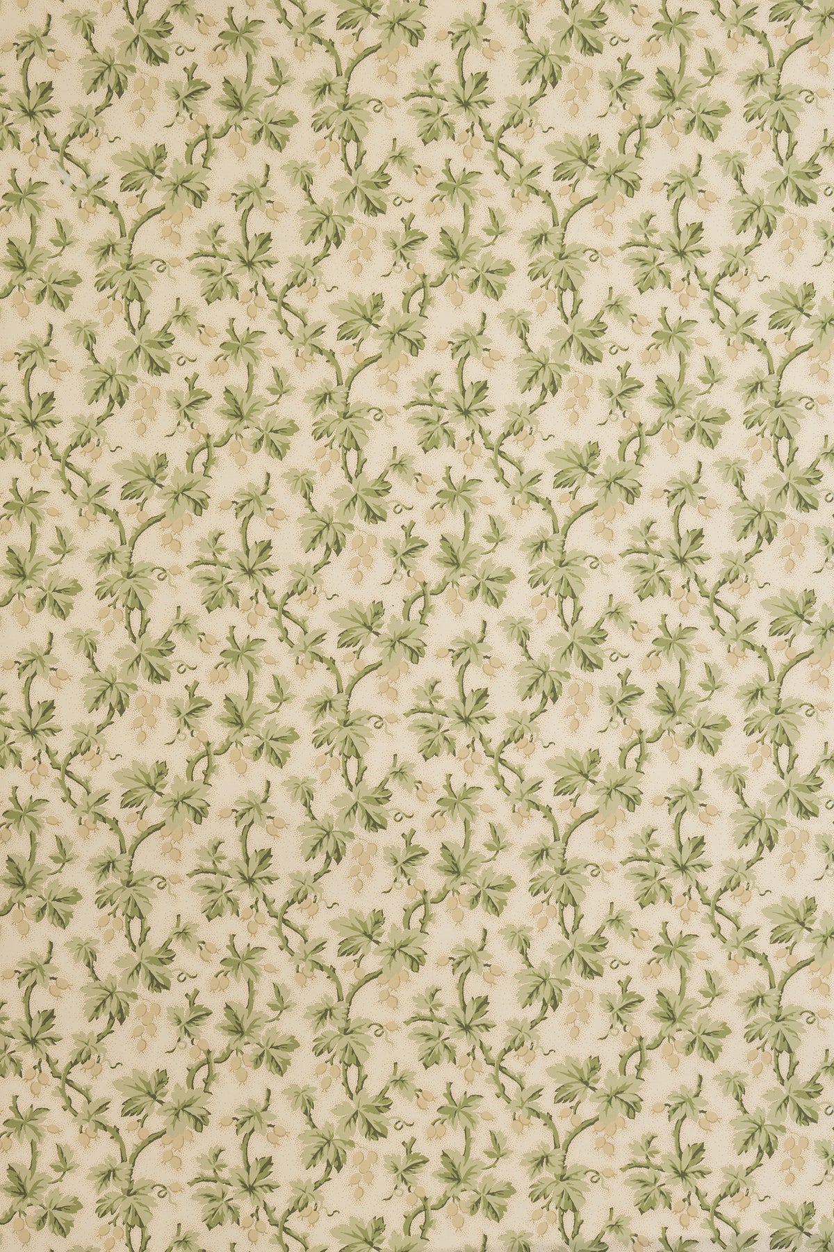Gooseberry Wallpaper by Jean Monro in Tortoise