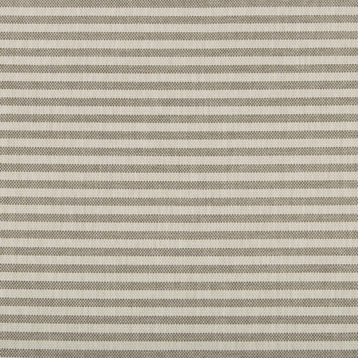 Rayas Stripe - Fossil