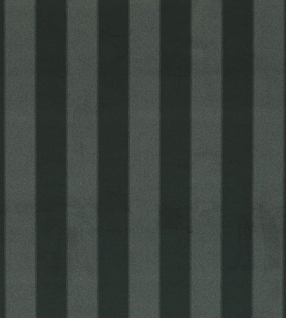 Haldon Fabric by Clarke & Clarke Ebony