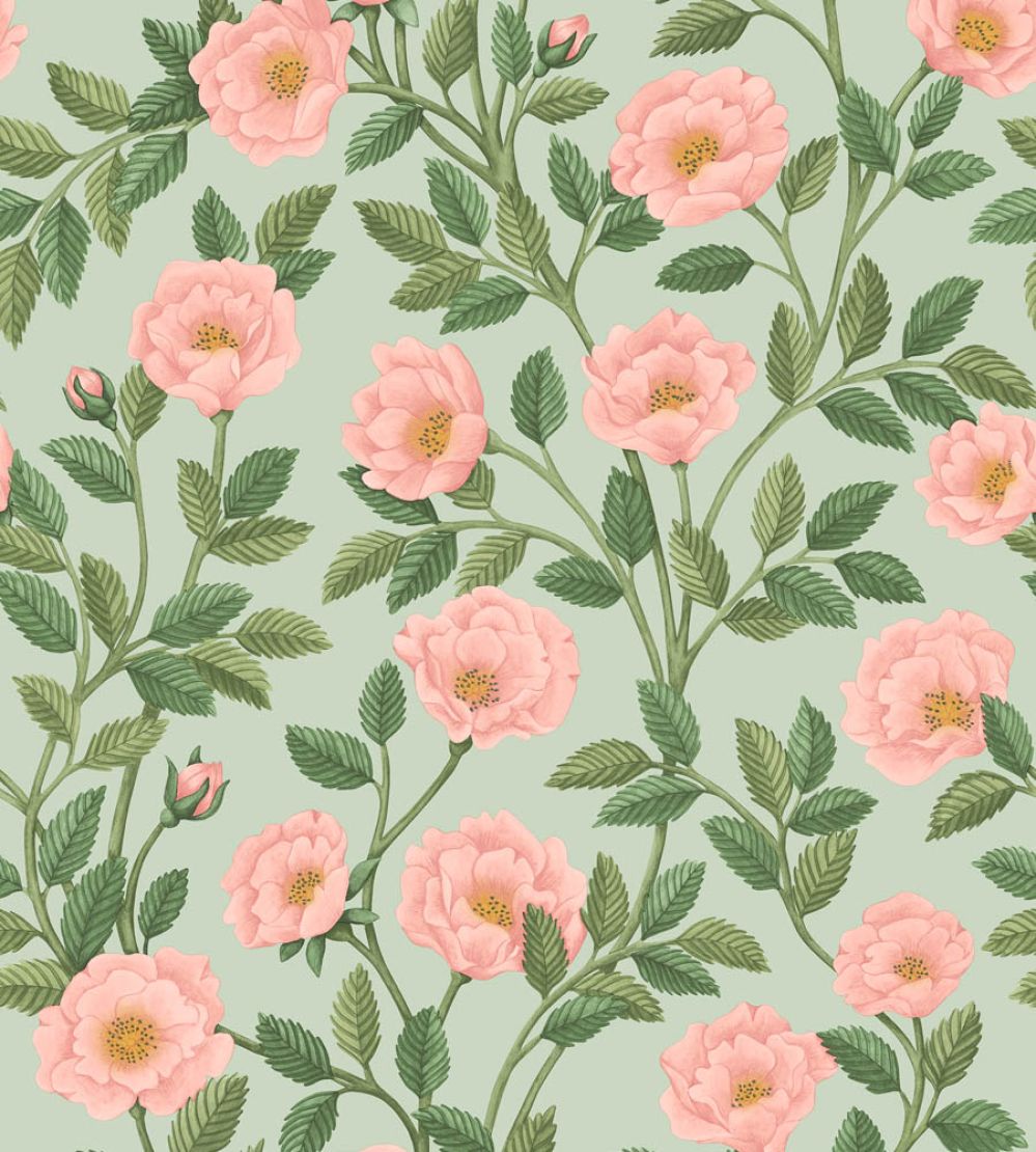 Hampton Roses Wallpaper by Cole & Son Rose Leaf