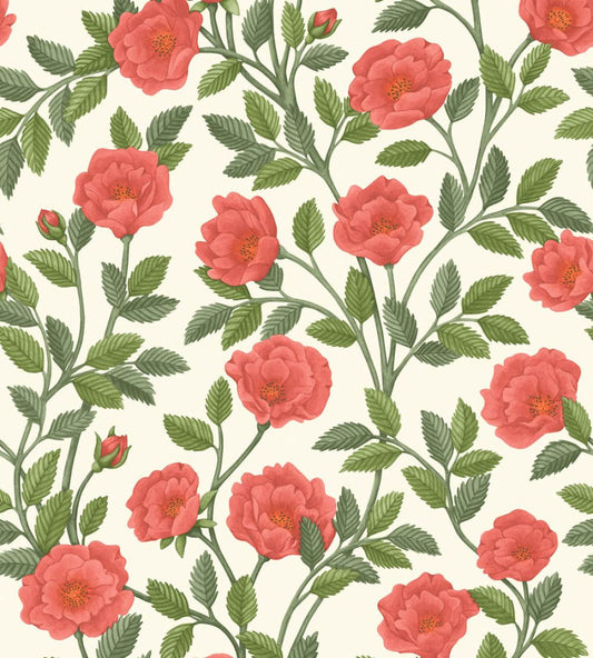 Hampton Roses Wallpaper by Cole & Son Rouge Spring