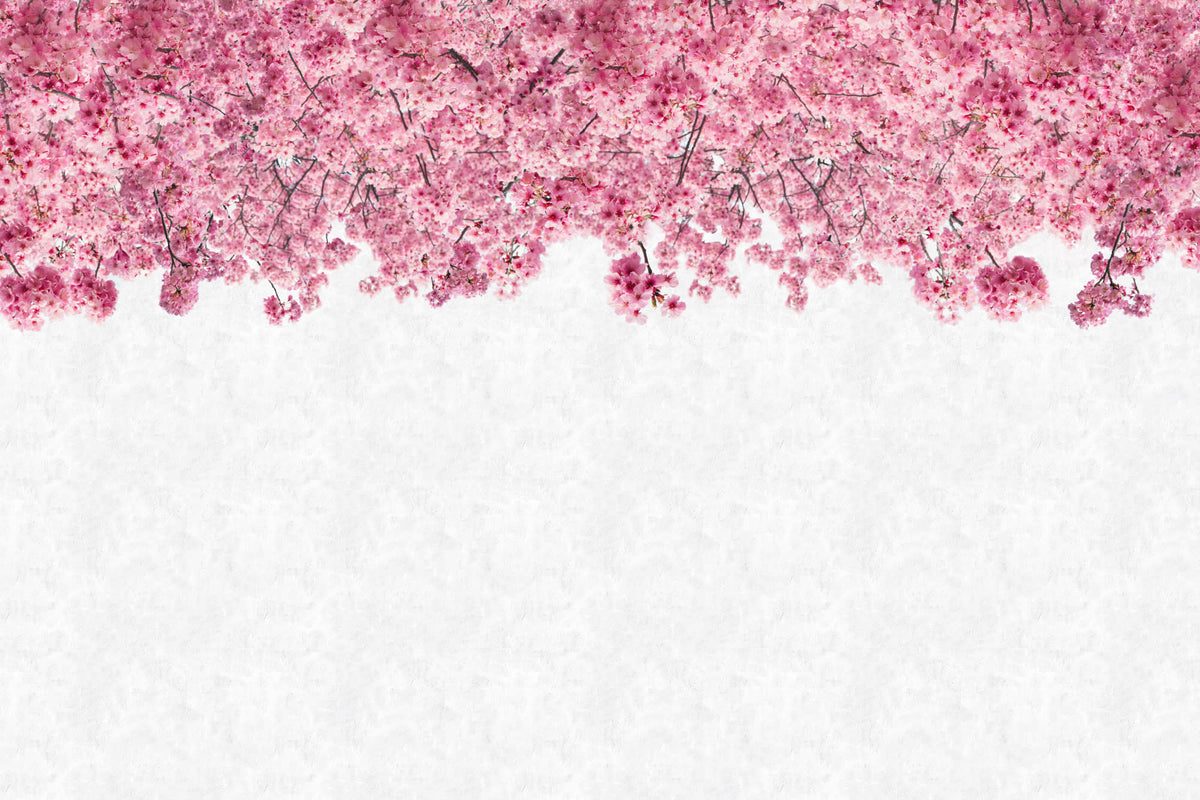 Hanami Pink mural by Hovia
