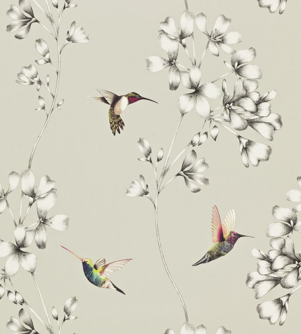 Amazilia Wallpaper by Harlequin Silver