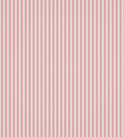 Carnival Stripe Fabric by Harlequin Blossom