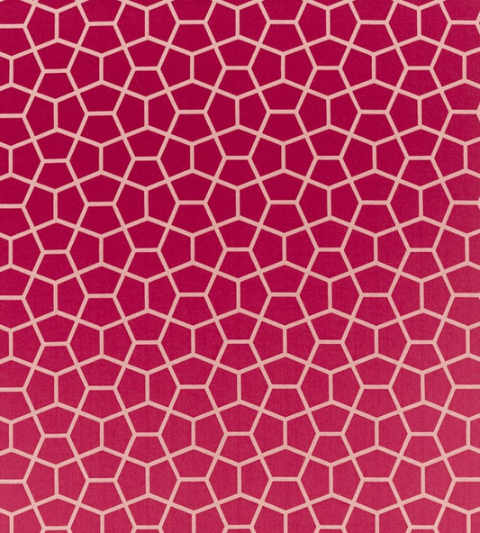 Glyptic Fabric by Harlequin Cherry
