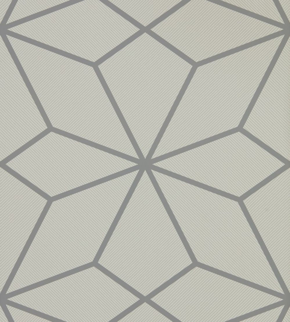 Axal Wallpaper by Harlequin Slate