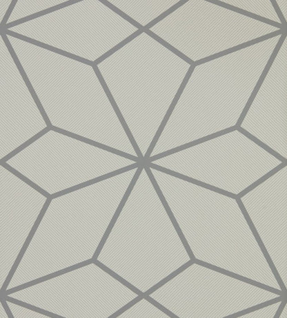 Axal Wallpaper by Harlequin Slate