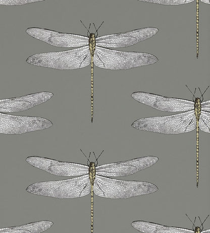 Demoiselle Wallpaper by Harlequin Graphite/Almond
