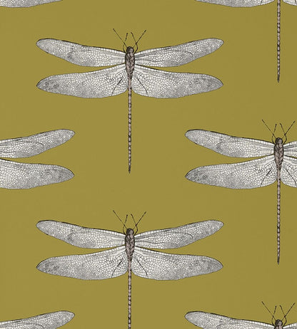 Demoiselle Wallpaper by Harlequin Ochre/Grape
