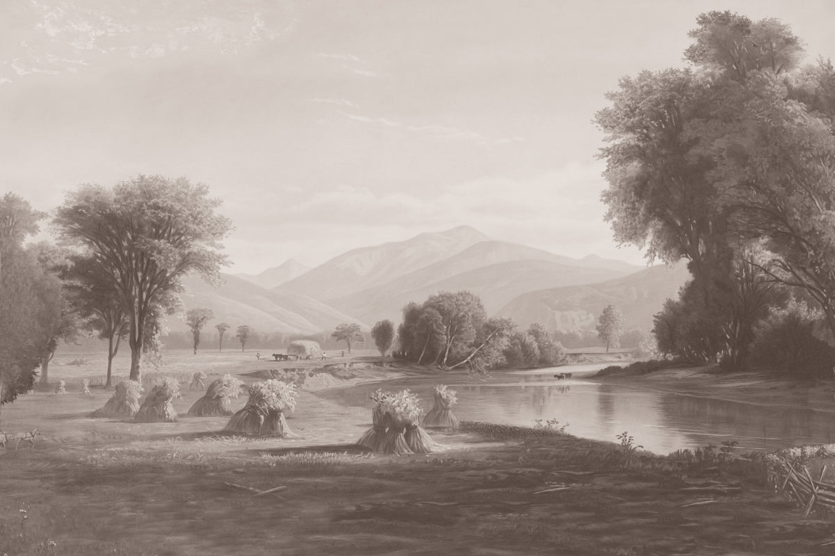Hayfield Grey mural by Hovia