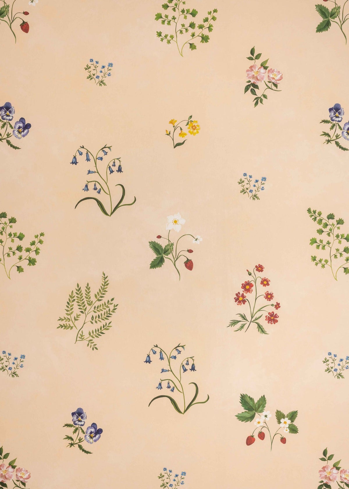Herbarium Wildflower Wallpaper by Tess Newall in Blush
