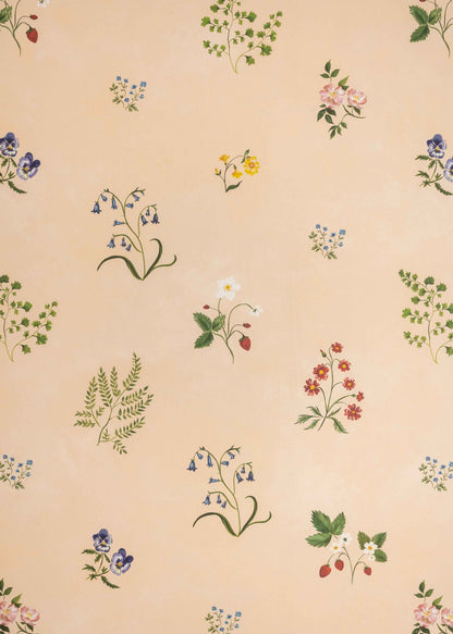 Herbarium Wildflower Wallpaper by Tess Newall in Blush