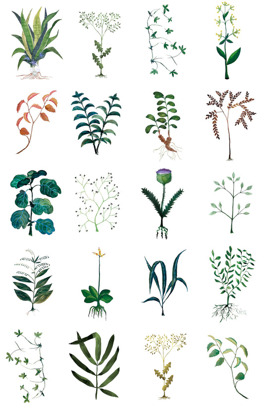 Herbarium White mural by Bien Fait