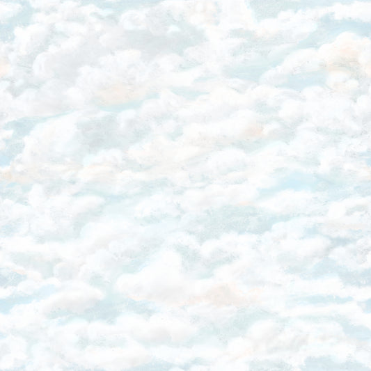 Himmel Light Blue mural by Sandberg
