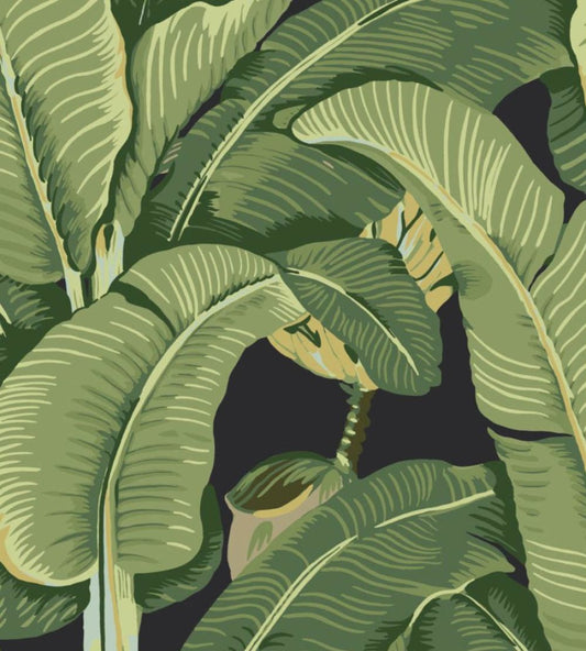 Hinson Palm Wallpaper by Scalamandre Absinthe