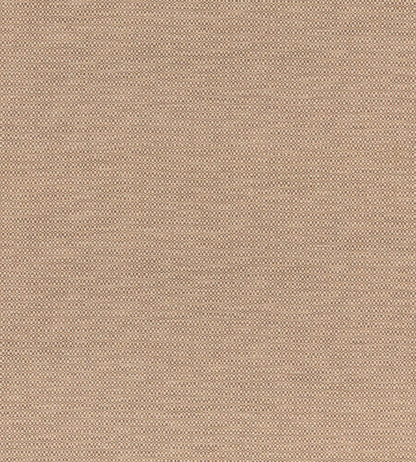 Hopton Fabric by GP & J Baker Nutmeg