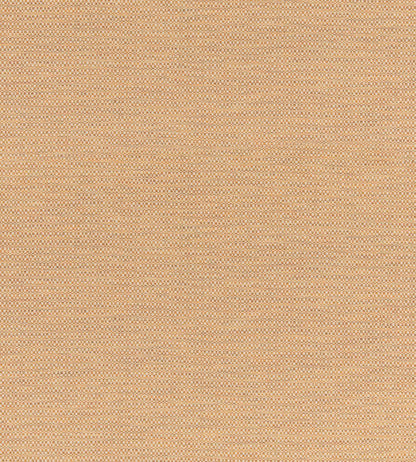 Hopton Fabric by GP & J Baker Ochre