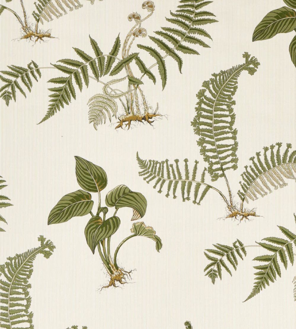 Hosta & Fern Fabric by Sanderson Olivine