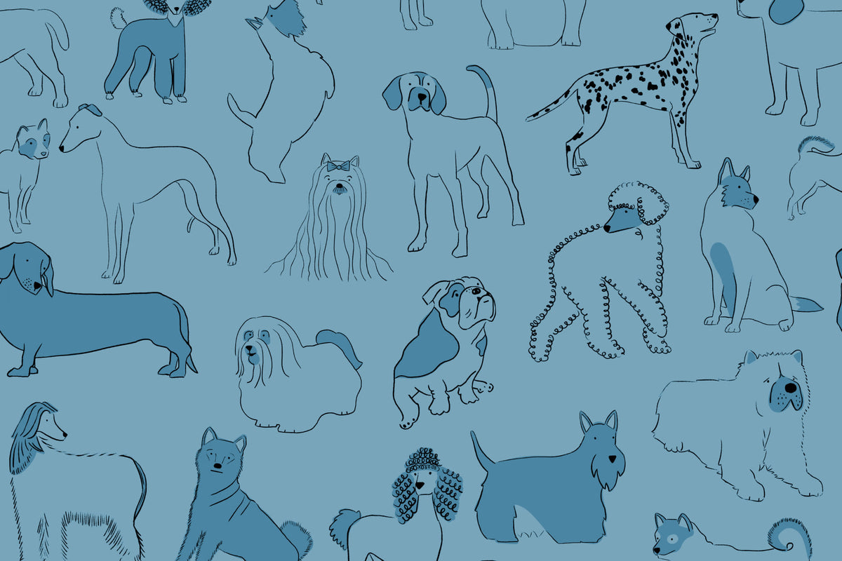Hound Blue mural by Hovia