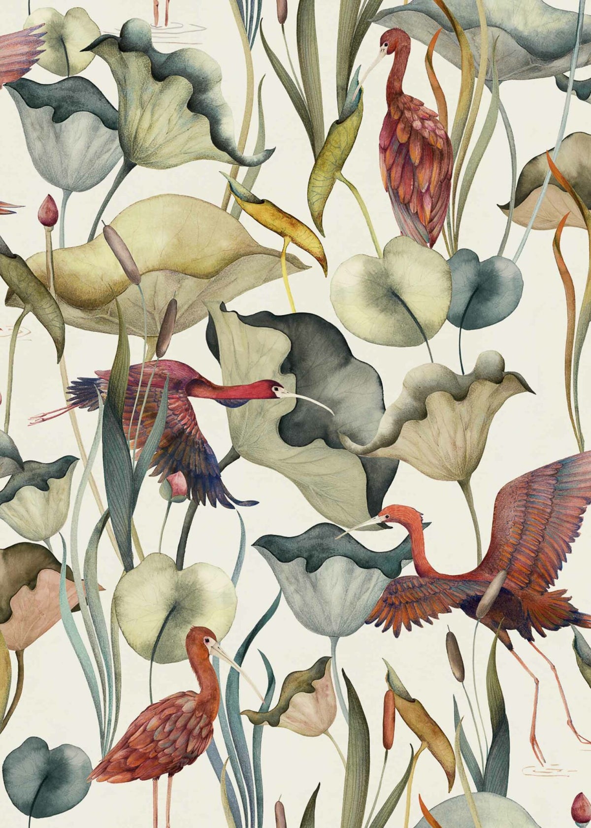 Humedales wallpaper by Coordonné in Algodón, flat pattern view