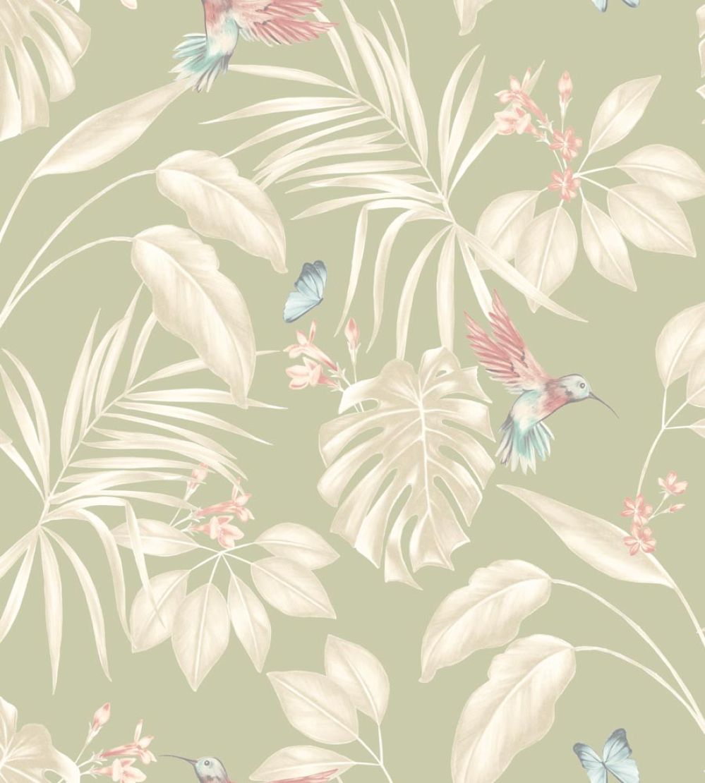 Hummingbird Wallpaper by Ohpopsi Sage