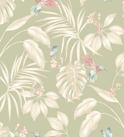 Hummingbird Wallpaper by Ohpopsi Sage