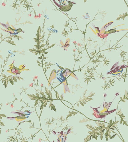 Hummingbirds Wallpaper by Cole & Son Multi, Old Olive on Duck Egg