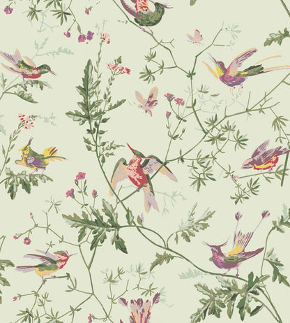 Hummingbirds Wallpaper by Cole & Son Multi, Old Olive on Eau Du Nil