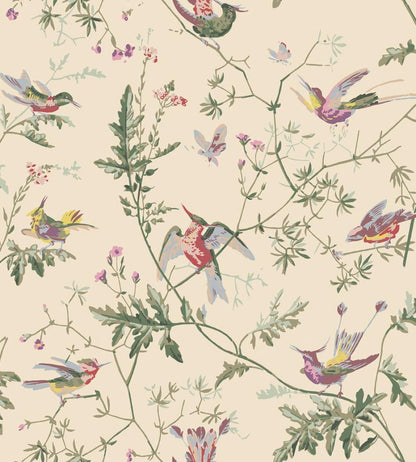 Hummingbirds Wallpaper by Cole & Son Classic Multi & Old Olive on Cream