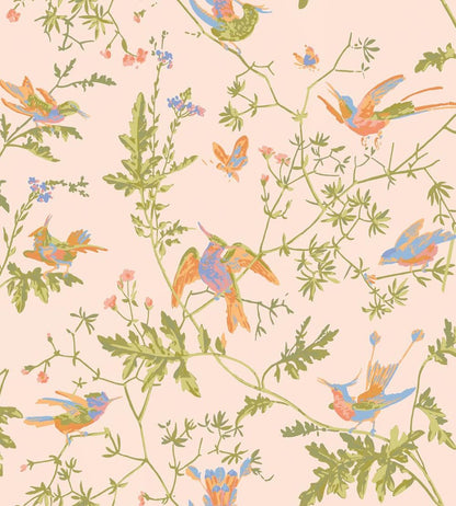 Hummingbirds Wallpaper by Cole & Son Tangerine & Olive on Blush