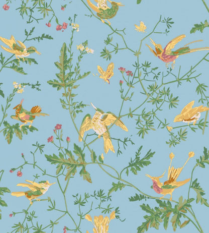 Hummingbirds Wallpaper by Cole & Son Buttercup Yellow on Cornflower Blue