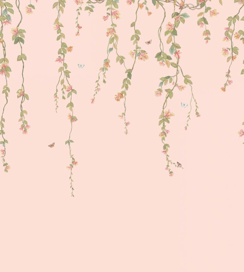 Hummingbirds Flora Mural by Cole & Son Tangerine & Olive on Blush