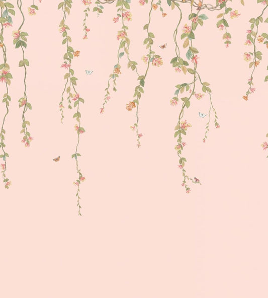 Hummingbirds Flora Mural by Cole & Son Tangerine & Olive on Blush