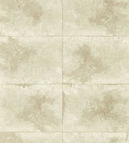 Igneous Wallpaper by Clarke & Clarke Champagne
